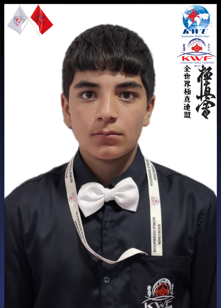 سینا حیدری